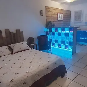 https://grand-studio-en-bas-de-villa-avec-vue-sur-mer-au-carbet.comcaribbean.com